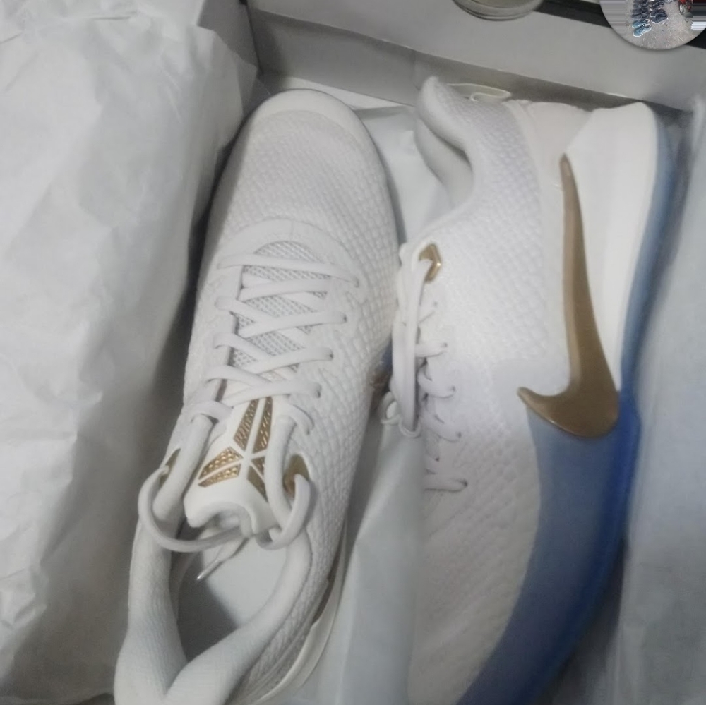 Mamba focus - Picture 3 of 4